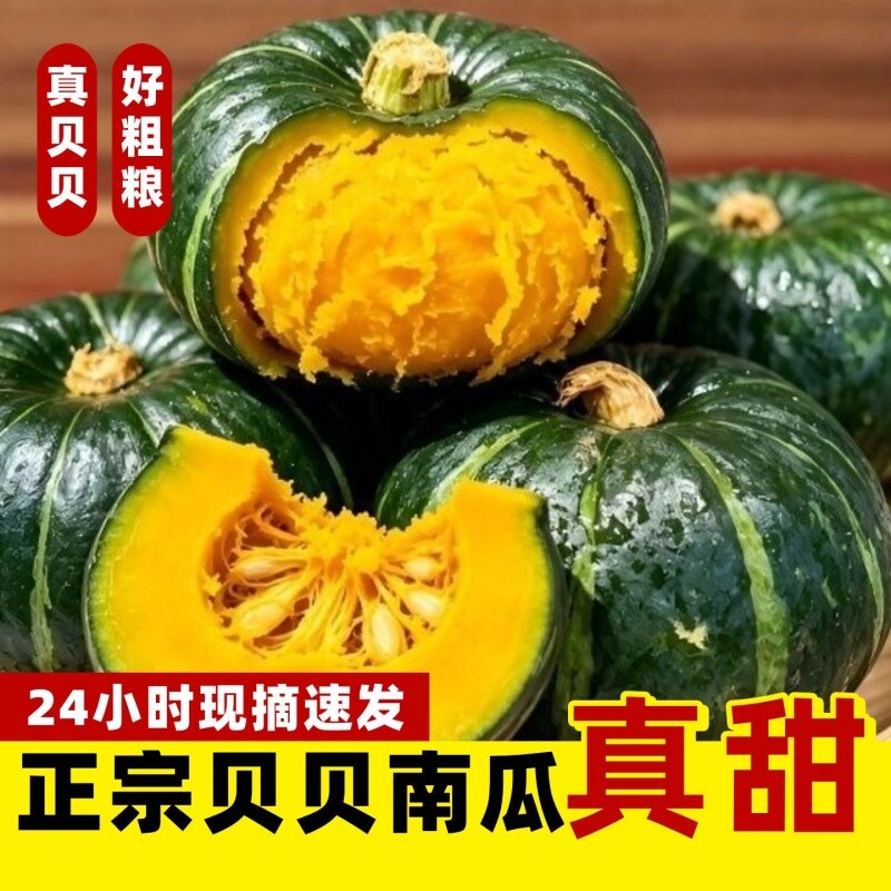 正宗真贝贝南瓜板栗味小南瓜新鲜辅食粉糯香甜孕妇宝宝辅食纯天然