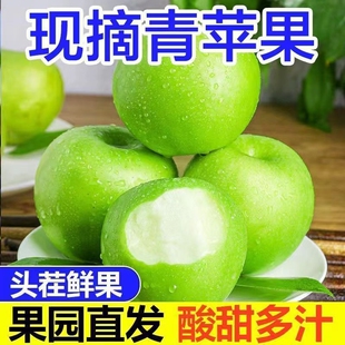 正宗青苹果水果新鲜应季 现摘酸甜可口脆青果脆甜清香脆爽多汁