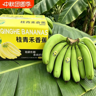 高山香蕉新鲜威廉斯当季水果薄皮自然熟整箱批发包邮青禾香甜青皮