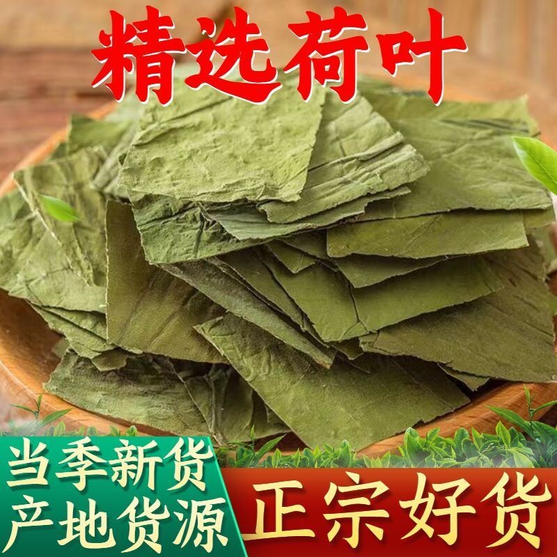 荷叶茶特级一等品茶片装微山湖新鲜干荷叶切片散装荷叶片花草茶