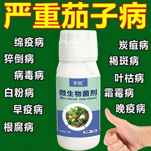 茄子专用药防治病毒病黄萎病卷叶病黄叶病根腐病病专用叶面肥西瓜