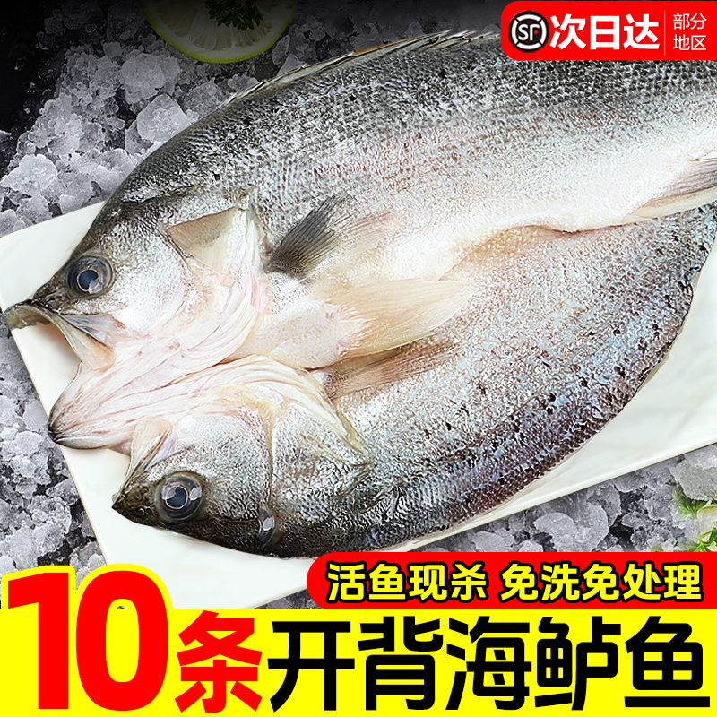 海鲈鱼开背新鲜冷冻鲜活深海鱼白蕉七星海卢鱼水产烤鱼半成品商用