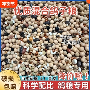 鸽粮无玉米鸽子粮幼鸽成鸽观赏鸽肉鸽信鸽清除精品鸽子饲料1020斤