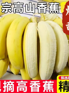云南高山香蕉9斤新鲜当季水果大芭蕉叶米蕉甜香焦自然熟可食用