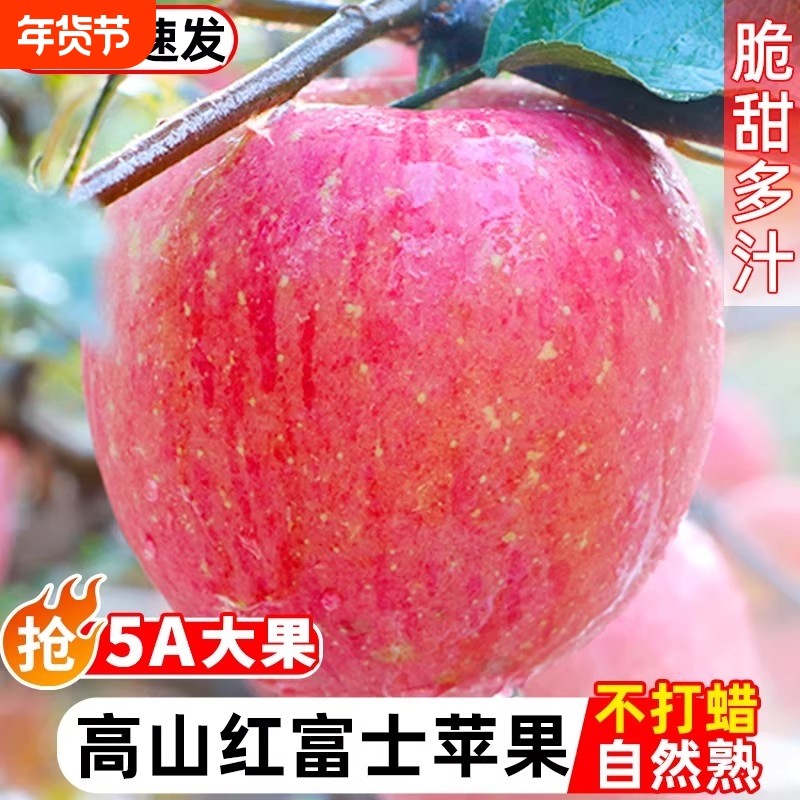 正宗红富士陕西洛川苹果水果新鲜整箱冰糖心脆甜9斤包邮仓发货,水产肉类/新鲜蔬果/熟食,苹果,淘宝优惠券,粉丝福利购,淘宝优惠卷