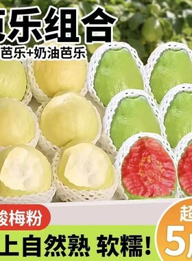 福建软糯软心芭乐5斤水果漳州当季奶油番石榴新鲜巴乐果脆甜红心