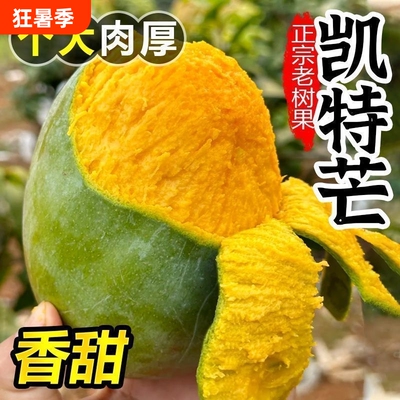 四川攀枝花凯特芒果当季新鲜水果现摘超甜彩虹芒大青吉禄芒果整箱