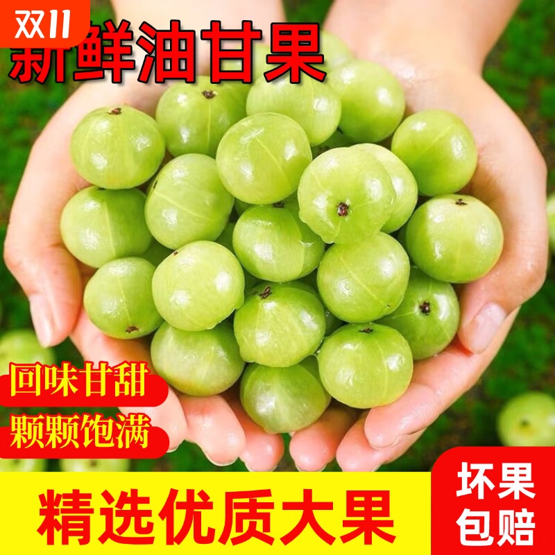 【热销】潮汕高山油柑