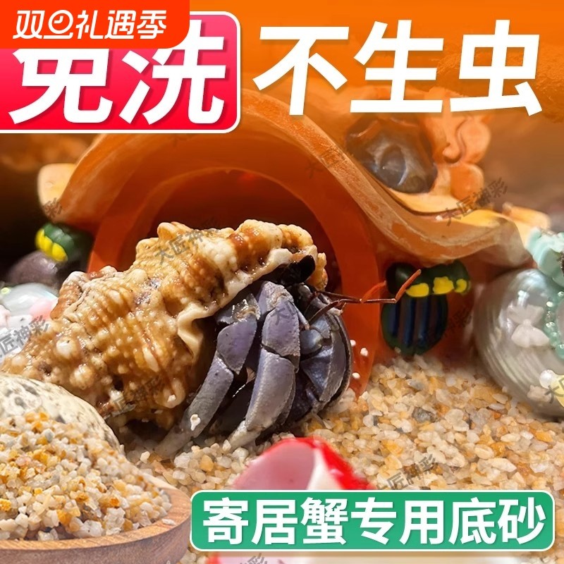寄居蟹专用海沙辣椒蟹螃蟹用品椰土垫材饲养套餐免洗鱼缸造景底砂