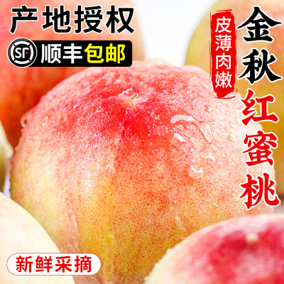 山东金秋红蜜桃当季桃子新鲜冬桃水果脆软毛桃大果顺丰包邮