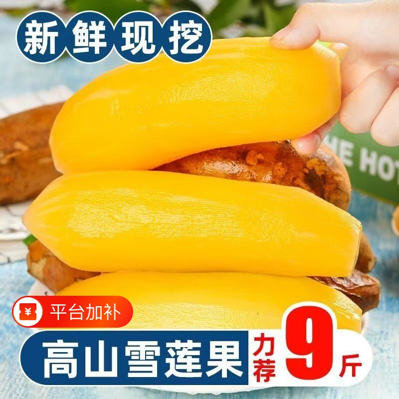 云南高原雪莲果红心新鲜特级一级水果当季整箱黄雪连包邮9斤