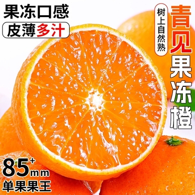 正宗应季新鲜水果现摘现发青见爱媛果冻橙子手剥榨汁新鲜橙子当季