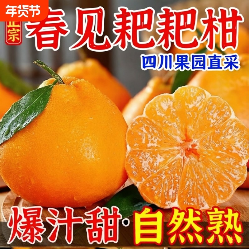 四川春见耙耙柑新鲜水果当季整箱正宗橘子丑柑橘粑粑柑桔大果包邮,水产肉类/新鲜蔬果/熟食,桔子,淘宝优惠券,粉丝福利购,淘宝优惠卷