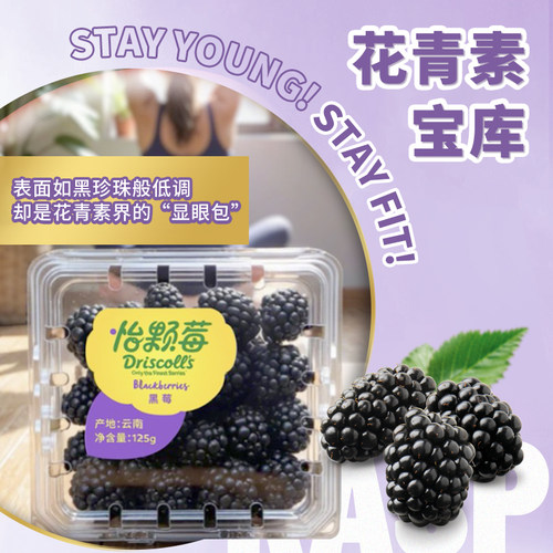 怡颗莓黑莓孕妇水果4盒125g/盒