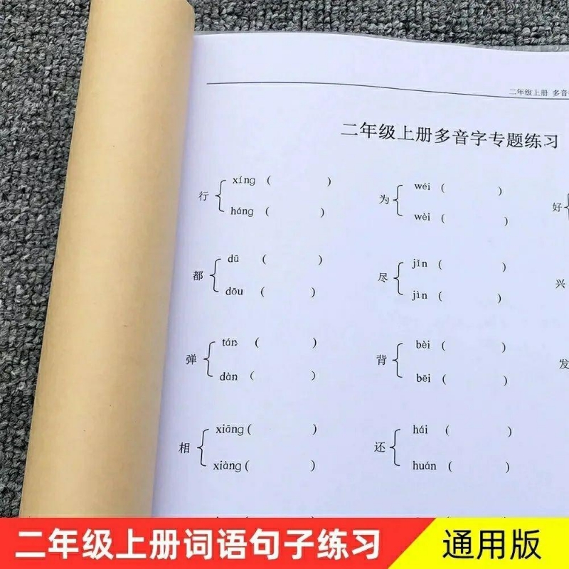 人教版二年级上册语文多音字同音字形近字近反义词练习本课业本