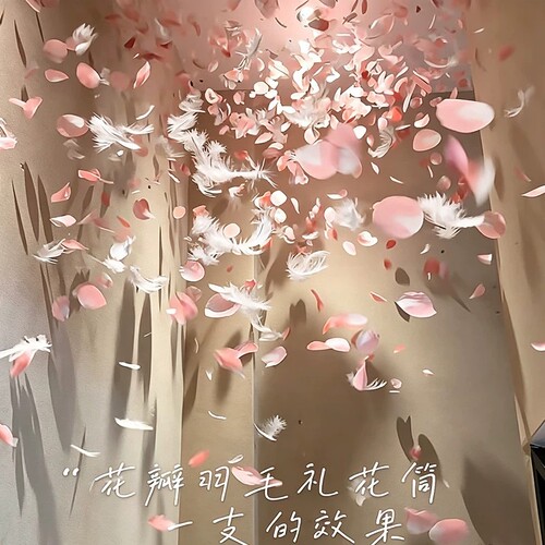 结婚必备礼花筒璀璨星河手持式