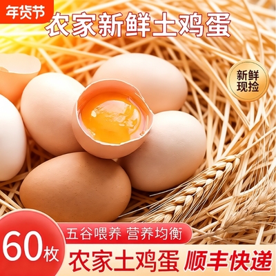 甘肃新鲜土鸡蛋60枚正宗农家散养农村乌柴笨草生鲜鸡蛋 50g/枚