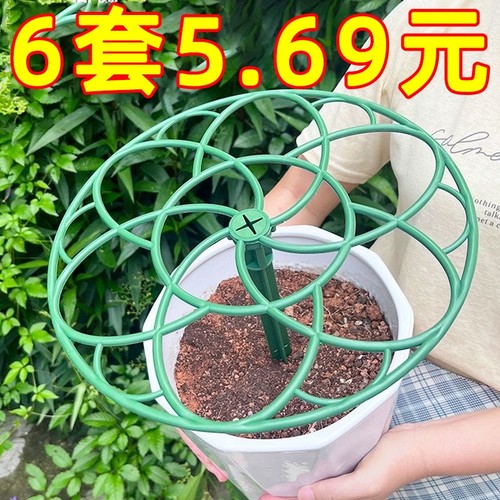 太阳花多层爬藤架|超2000次加购