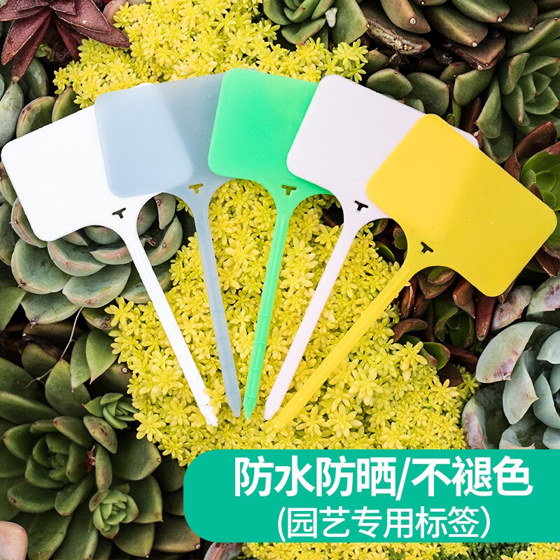 园艺标签T型多肉植物花卉地插牌塑料防水苗木花盆标识牌品种绿植图片