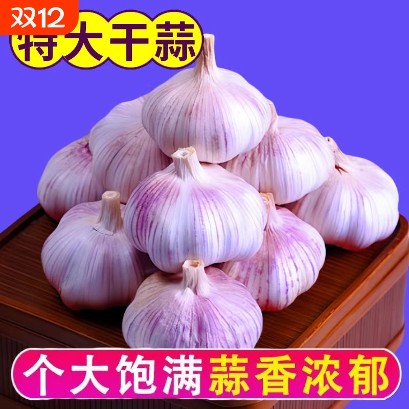 太大蒜头干蒜山东大蒜批发价新干蒜白紫皮大蒜蔬菜种植优质散装