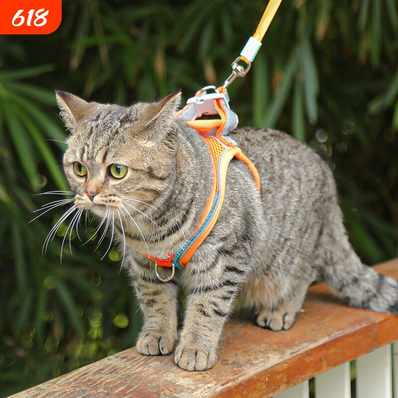 猫咪牵引绳防挣脱专用猫绳小型犬胸抱婴袋绳子溜猫绳宠物牵狗绳遛