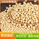 东北黑龙江优质新货黄豆非转基因打豆浆笨黄豆多规格可选