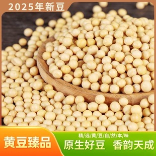 东北黑龙江优质新货黄豆非转基因打豆浆笨黄豆多规格可选