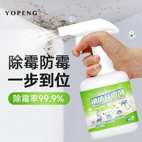 墙体除霉剂家用去除霉斑霉菌300ML*1瓶装起