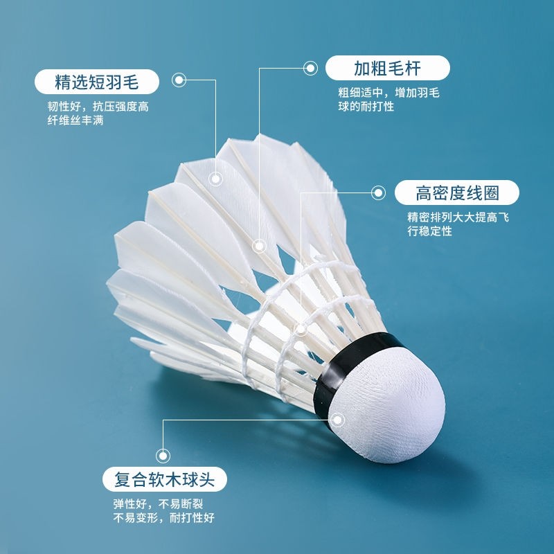 羽毛球正品12只装耐打王黑白羽室外训练比赛专用防风官方尼龙球6