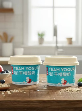 乐纯干噎酸奶巨厚椰椰干嚼营养餐后酸奶挖着吃干巴厚酸奶营养早餐