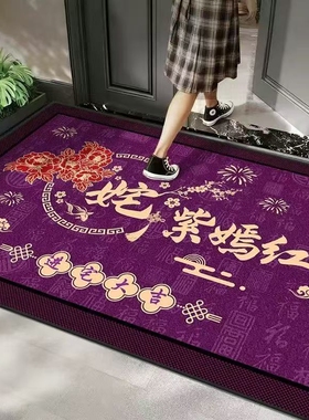开运入户门垫玄学进门家用大门口地毯招财紫色脚垫除尘防滑客厅