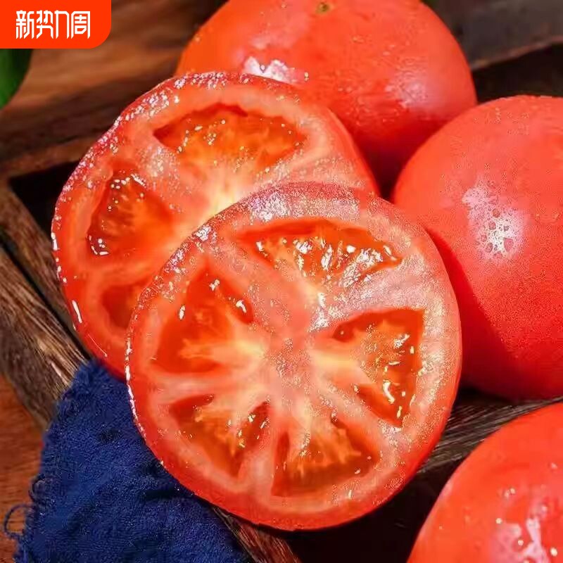 正宗沙瓤西红柿番茄自然熟当季新鲜蔬菜非普罗旺斯整箱发沙拉爆汁