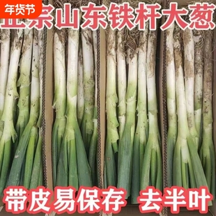 正宗山东大葱新鲜蘸酱甜葱香葱铁杆大葱新鲜蔬菜大葱带皮去半叶