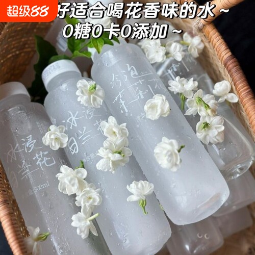 「冷泡茉莉花」广西冷泡茉莉花水饮料无糖0卡0脂茉莉花茶爆款清爽