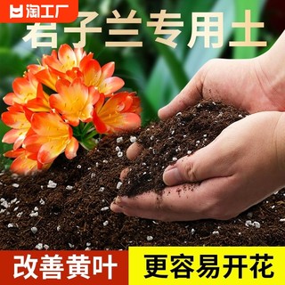 君子兰专用土兰花营养土盆栽有机种植土壤养花泥土肥料羊粪肥发酵