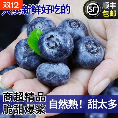 顺丰秘鲁花香蓝莓鲜果新鲜水果应当季运现摘5斤怡颗蓝梅礼盒枝超