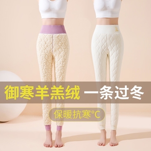 棉毛裤 白色羊羔绒保暖裤 东北特厚秋裤 加绒加厚打底裤 女内穿秋冬款