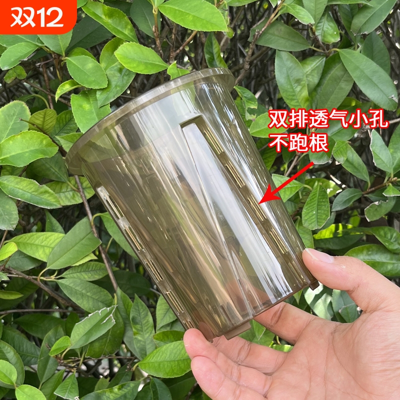 控根盆热绿植龟背竹兰花塑料花盆