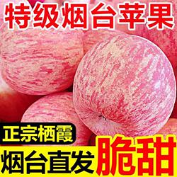 正宗山东烟台苹果栖霞红富士新鲜水果整箱包邮当季脆甜冰糖心苹果