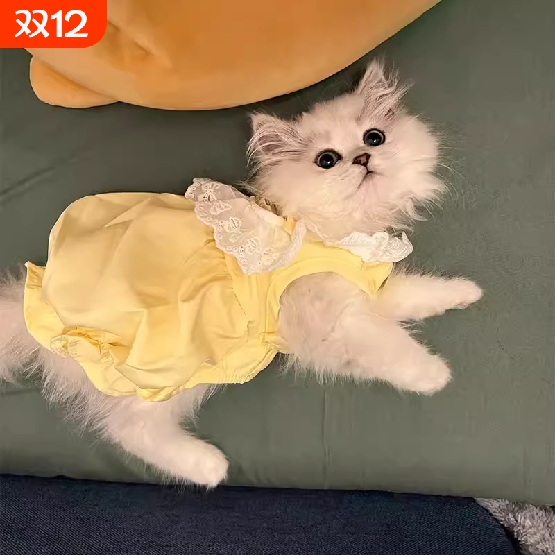猫咪衣服防掉毛公主裙夏季透气蓬蓬宠物薄款裙子背心红色绿色粉色