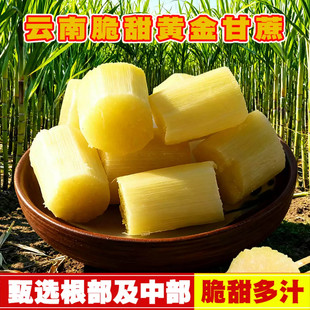 正宗云南黄金脆皮甘蔗当季新鲜水果脆甜黄皮甘蔗批发甜杆竿蔗干蔗
