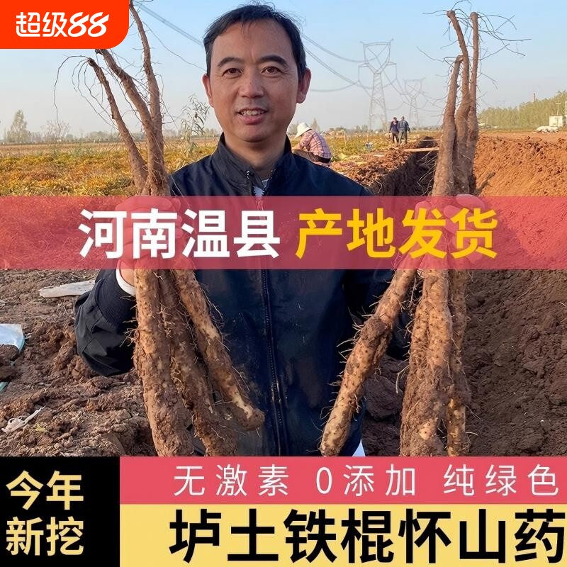 铁棍山药河南焦作温县正宗垆土怀淮山药新鲜铁杆蔬菜批发包邮怀山