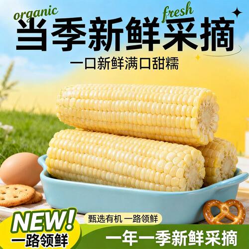 东北新鲜白糯玉米软糯香甜拉丝颗粒饱满粗粮代餐真空锁鲜独立包装