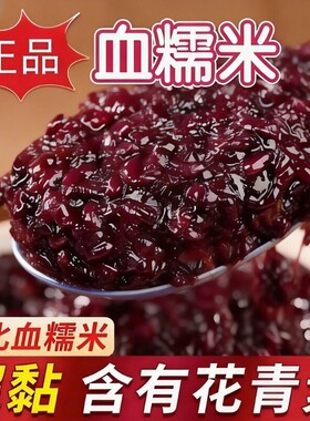 正宗新货血糯米正宗黑糯米紫米