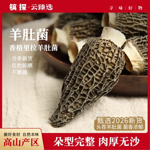 云南羊肚菌干货新鲜干牛肚菌煲汤野生菌菇特产菇蘑特级源头山珍