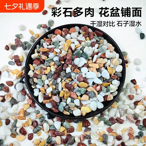 天然彩石盆栽铺面石|千人回购
