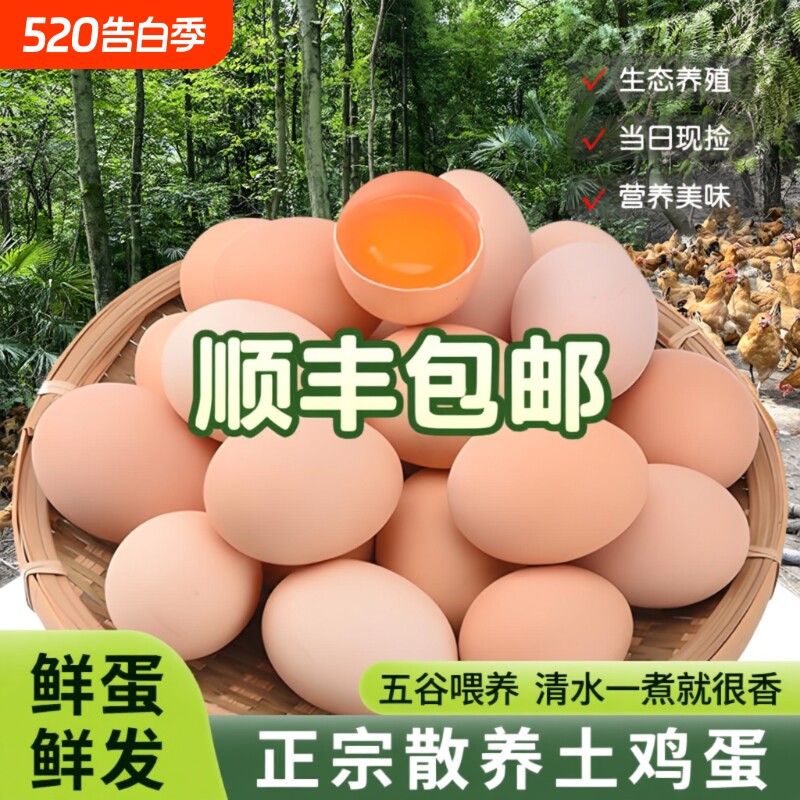 顺丰包邮正宗原生态农家土鸡蛋散养草鸡蛋笨鸡蛋柴鸡蛋约40-50g