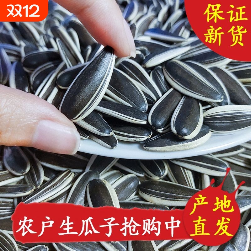 内蒙古葵花籽原味熟瓜子新鲜中颗粒散装批发生瓜子熟葵花籽向日葵