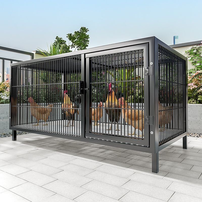 鸡笼子家用室外大号方管密网防雨农村芦丁自动清粪养殖笼防黄鼠狼