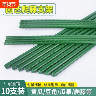 园艺花架种植箱爬藤架阳台植物支撑杆庭院黄瓜葡萄架固定钢管包塑